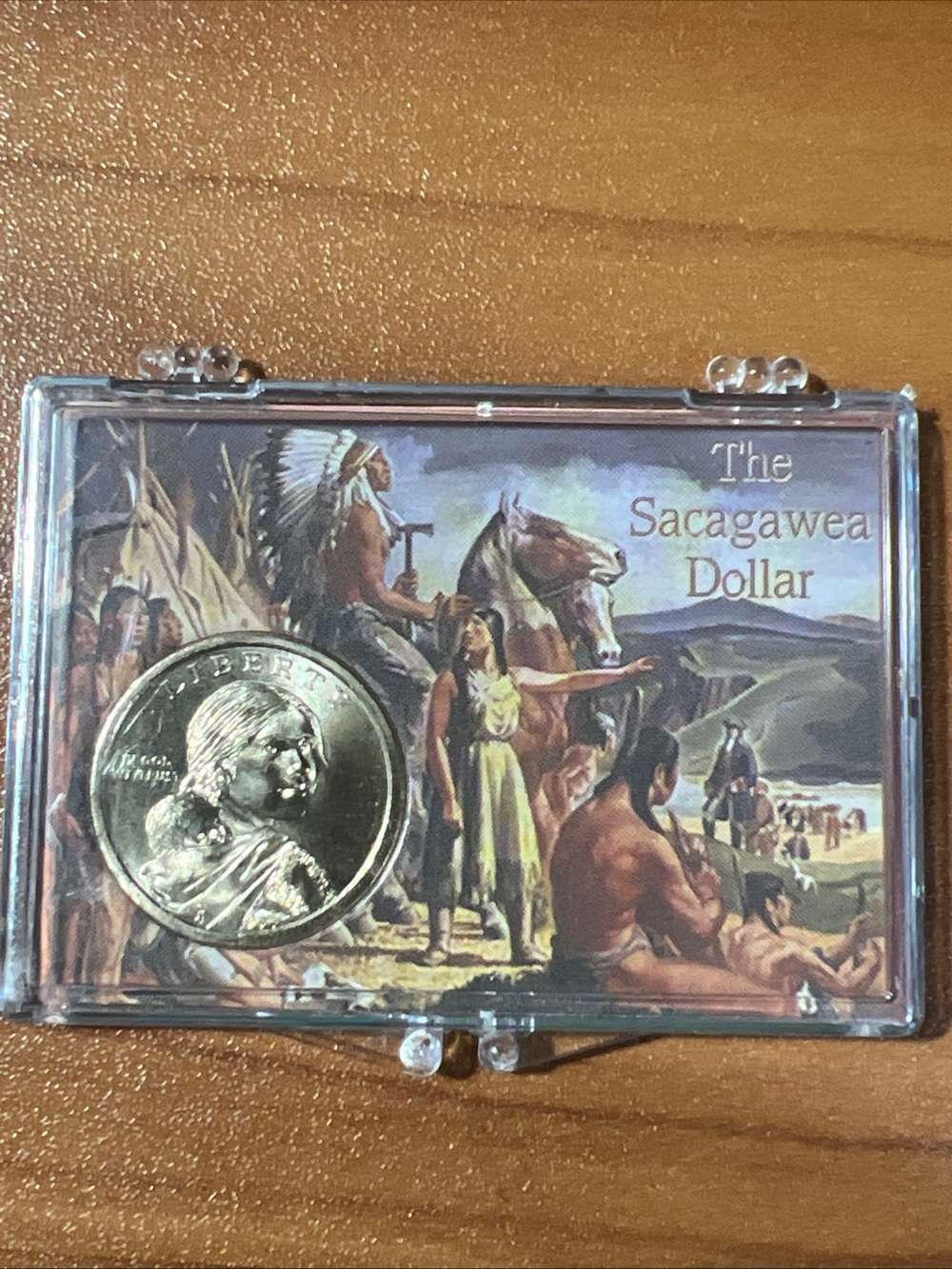 2013 P Sacagawea Native American Dollar US Mint Coin Brilliant Uncirculated BU!